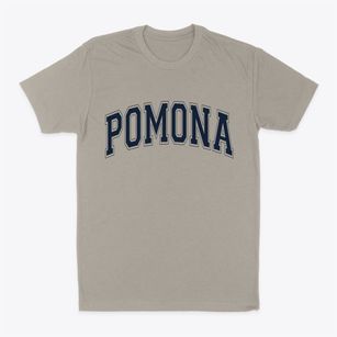 Pomona New York Varsity Classic Dad T-Shirt