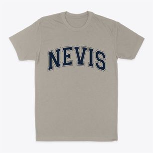 Nevis Minnesota Varsity Classic Dad T-Shirt