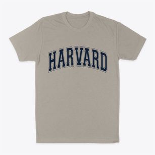 Harvard Illinois Varsity Classic Dad T-Shirt
