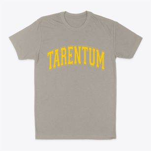 Tarentum Pennsylvania Varsity Classic Dad T-Shirt