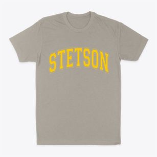 Stetson Maine Varsity Classic Dad T-Shirt