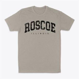 Roscoe Illinois Urban Vibe Classic Dad T-Shirt