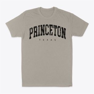 Princeton Texas Urban Vibe Classic Dad T-Shirt