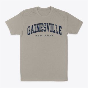 Gainesville New York Urban Vibe Classic Dad T-Shirt
