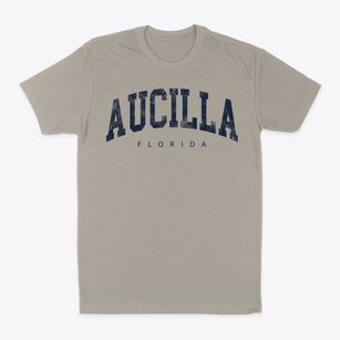 Aucilla Florida Urban Vibe Classic Dad T-Shirt