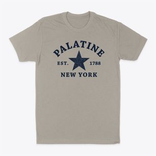 Palatine New York Star Classic Dad T-Shirt