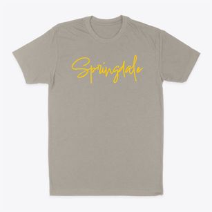 Springdale Texas Freestyle Classic Dad T-Shirt