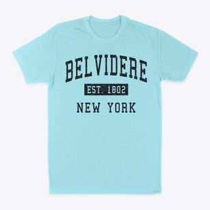 Belvidere New York Classic Established Classic Dad T-Shirt