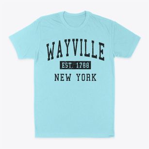 Wayville New York Classic Established Classic Dad T-Shirt
