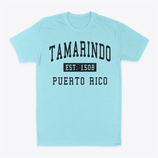 Tamarindo Puerto Rico Classic Established Classic Dad T-Shirt