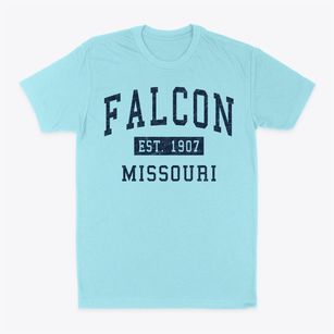 Falcon Missouri Classic Established Classic Dad T-Shirt