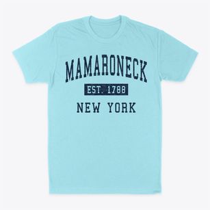 Mamaroneck New York Classic Established Classic Dad T-Shirt