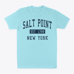 Salt Point New York Classic Established Classic Dad T-Shirt