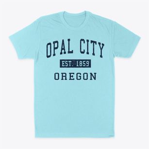 Opal City Oregon Classic Established Classic Dad T-Shirt