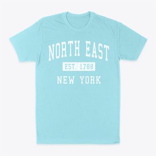 North East New York Classic Established Classic Dad T-Shirt