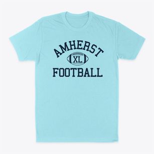 Amherst Montessori School Classic Football Classic Dad T-Shirt