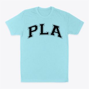 Premier Learning Academy Varsity Arch Classic Dad T-Shirt