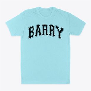 Barry Elementary School Varsity Arch Classic Dad T-Shirt