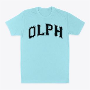 Our Lady Of Perpetual Help School Varsity Arch Classic Dad T-Shirt