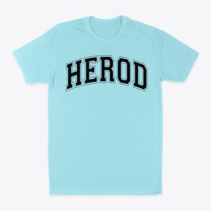 Herod Elementary School Varsity Arch Classic Dad T-Shirt