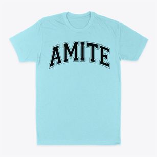 Amite High School Varsity Arch Classic Dad T-Shirt