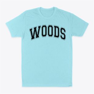 Woods Elementary School Varsity Arch Classic Dad T-Shirt