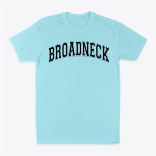 Broadneck High School Varsity Arch Classic Dad T-Shirt
