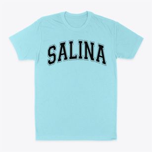 Salina Intermediate School Varsity Arch Classic Dad T-Shirt
