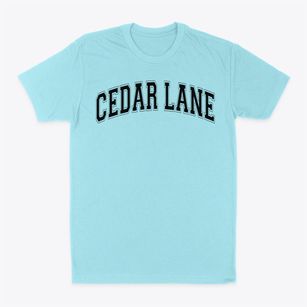 Cedar Lane Alternative High School Varsity Arch Classic Dad T-Shirt