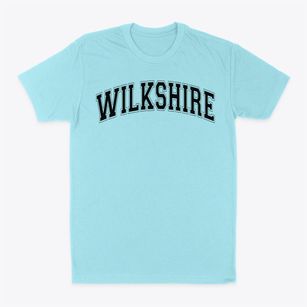 Wilkshire Early Childhood Center Varsity Arch Classic Dad T-Shirt