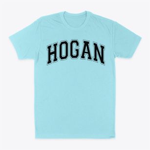 Hogan Prep Charter Varsity Arch Classic Dad T-Shirt