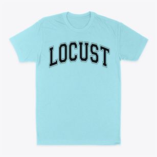 Locust School Varsity Arch Classic Dad T-Shirt