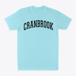 Cranbrook Elementary School Varsity Arch Classic Dad T-Shirt