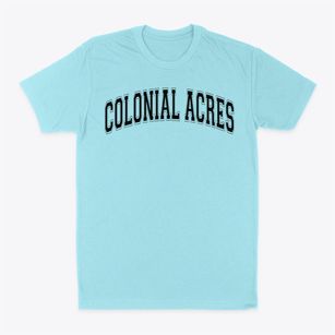 Colonial Acres Elementary School Varsity Arch Classic Dad T-Shirt