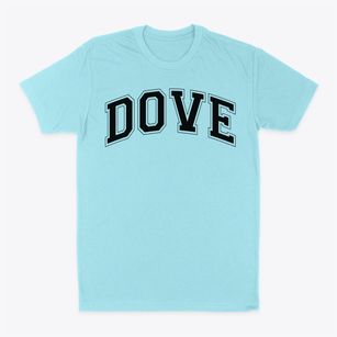 Dove Science Academy Varsity Arch Classic Dad T-Shirt