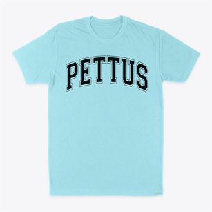 Pettus Elementary School Varsity Arch Classic Dad T-Shirt