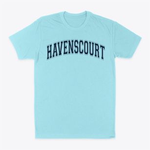 Havenscourt Junior High School Varsity Arch Classic Dad T-Shirt