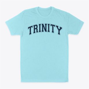 Trinity Christian School Varsity Arch Classic Dad T-Shirt