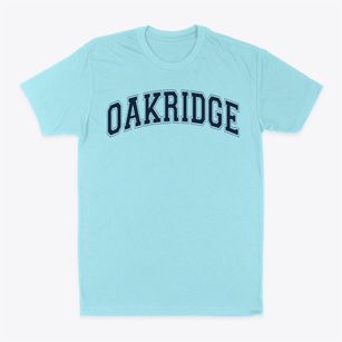Oakridge Elementary School Varsity Arch Classic Dad T-Shirt