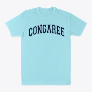 Congaree Elementary School Varsity Arch Classic Dad T-Shirt