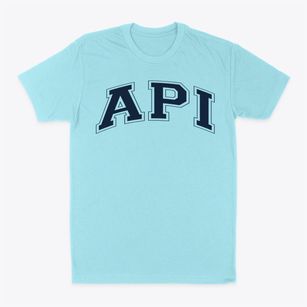 Advanced Preparatory International Varsity Arch Classic Dad T-Shirt