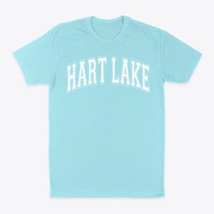 Hart Lake District 134 School Varsity Arch Classic Dad T-Shirt