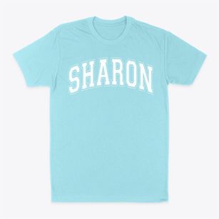 Sharon Elementary School Varsity Arch Classic Dad T-Shirt