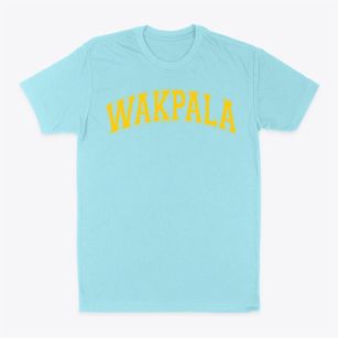 Wakpala School Varsity Arch Classic Dad T-Shirt