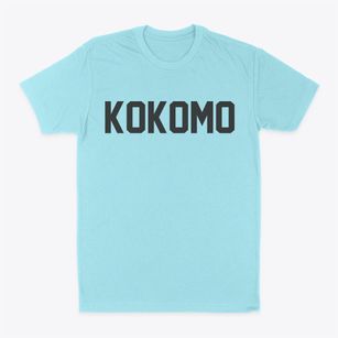 Kokomo Indiana Classic Block Classic Dad T-Shirt