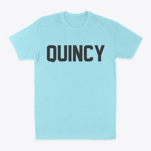 Quincy Illinois Classic Block Classic Dad T-Shirt