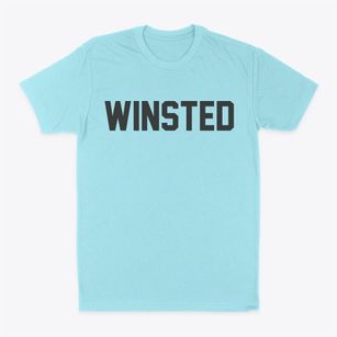 Winsted Minnesota Classic Block Classic Dad T-Shirt