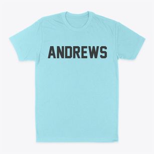 Andrews Indiana Classic Block Classic Dad T-Shirt