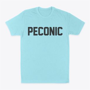 Peconic New York Classic Block Classic Dad T-Shirt