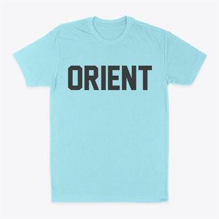 Orient Illinois Classic Block Classic Dad T-Shirt